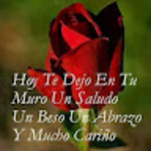 Meet your Posher, Xiomara